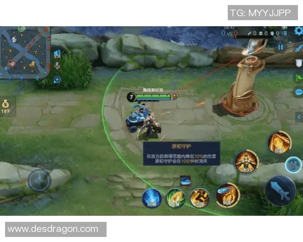 王者荣耀评论:探讨FPX在区域防守中的优劣表现与战术调整